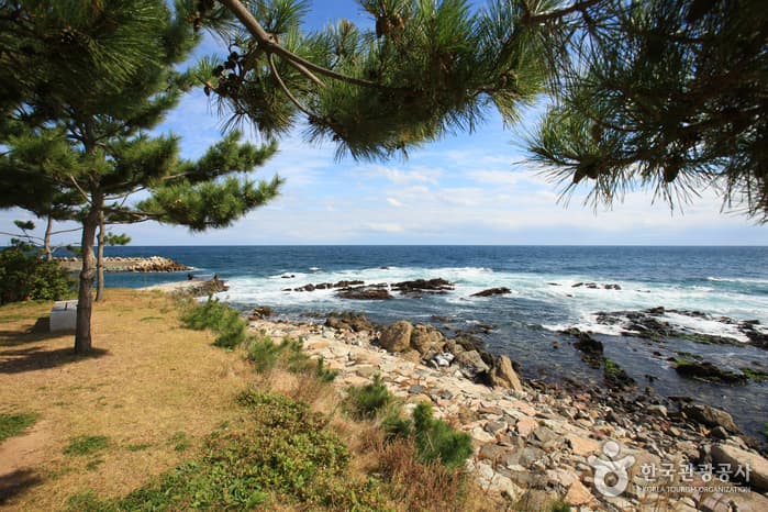 대게원조마을_026