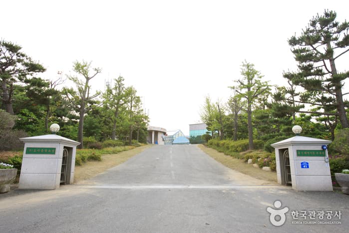 울산광역시_동구_울산테마식물수목원_045