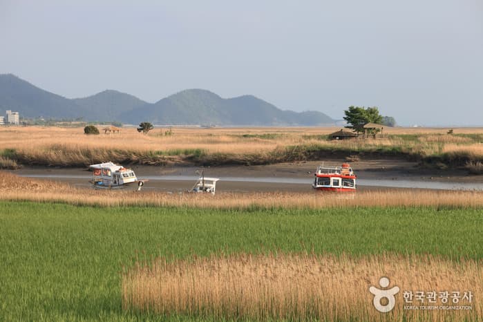 130510전남_순천_순천만자연생태공원 8