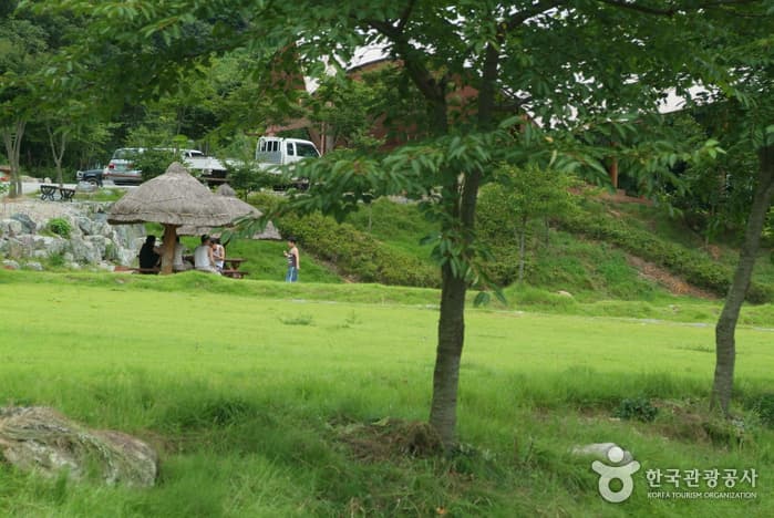 꽃무릇,산책로,공원_10