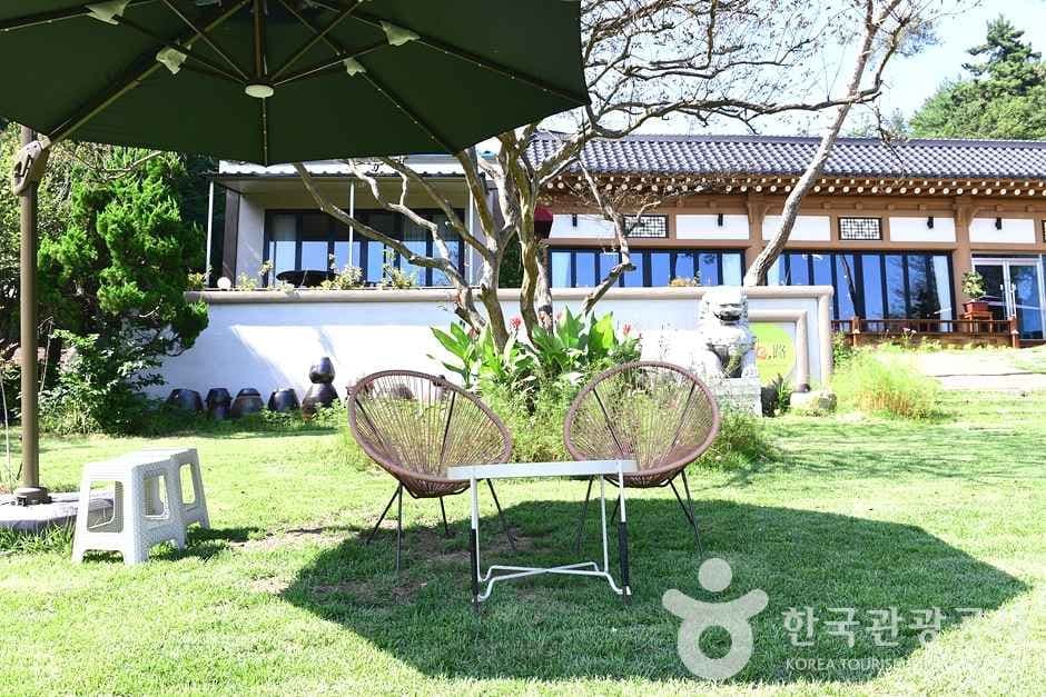 전남_보성_카페 위로 (4)