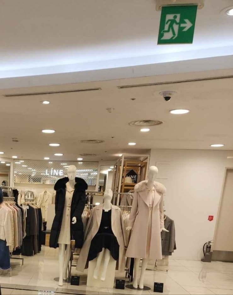 Line [Tax Refund Shop] (라인)