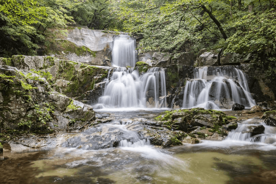국립방태산자연휴양림 (1)