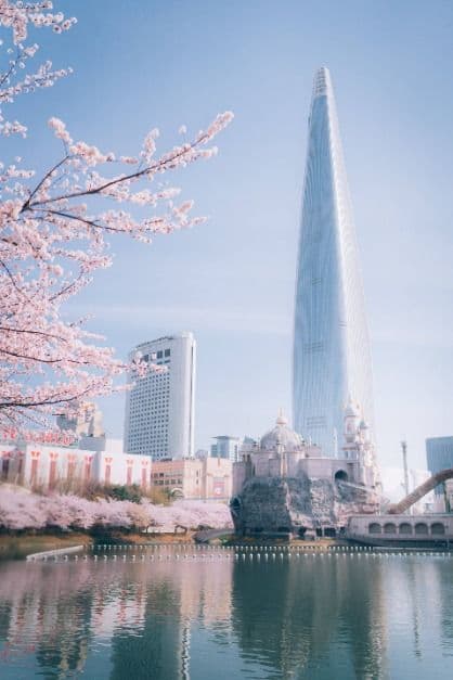 2025 송파구 호수벚꽃축제 6