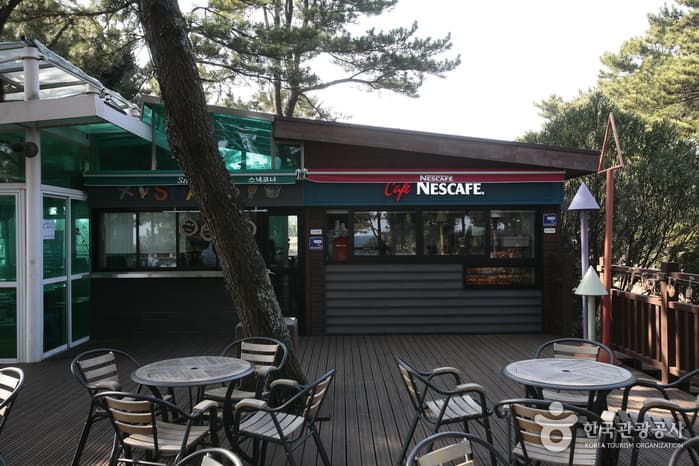 제주 서귀포시_제주풍림리조트_부대시설(야외커피숍)