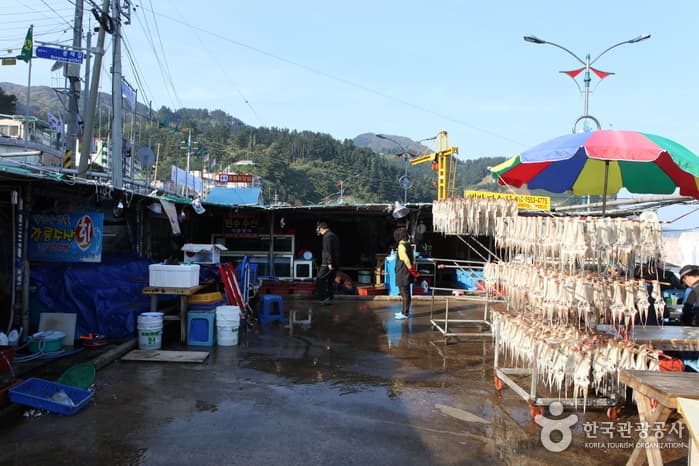 1311경북_울릉_핫스팟29