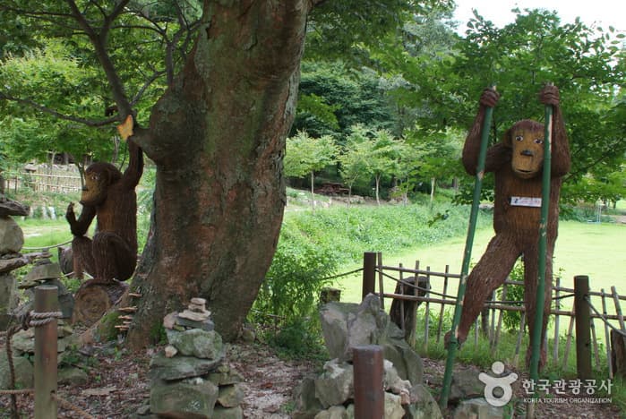 꽃무릇,산책로,공원_13