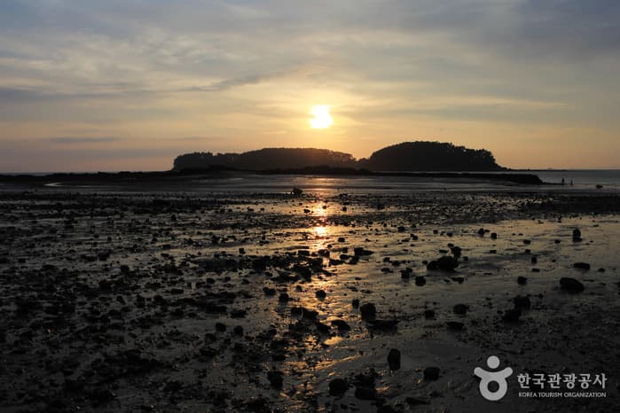 충남_보령_무창포13
