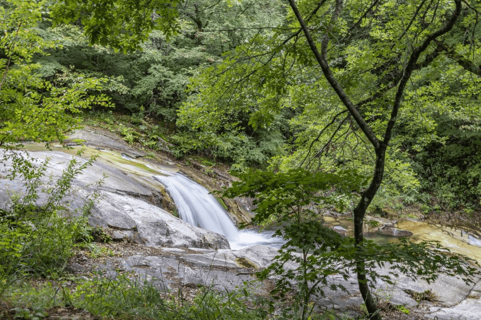 국립방태산자연휴양림 (2)