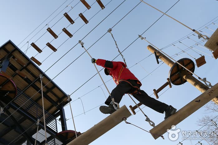 태백 365세이프타운12