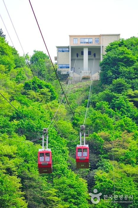 경북_울릉_독도전망대 케이블카05