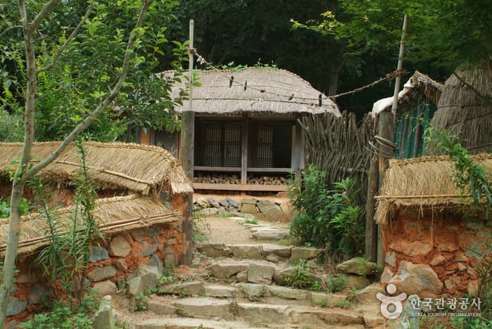 꽃무릇,산책로,공원_15