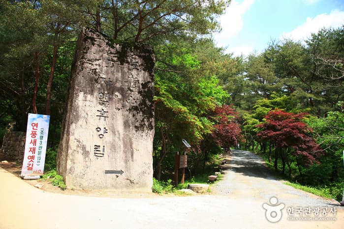 충북_괴산_연풍새재 옛길 따라 떠나는 조령산 야생화 생태 여행20