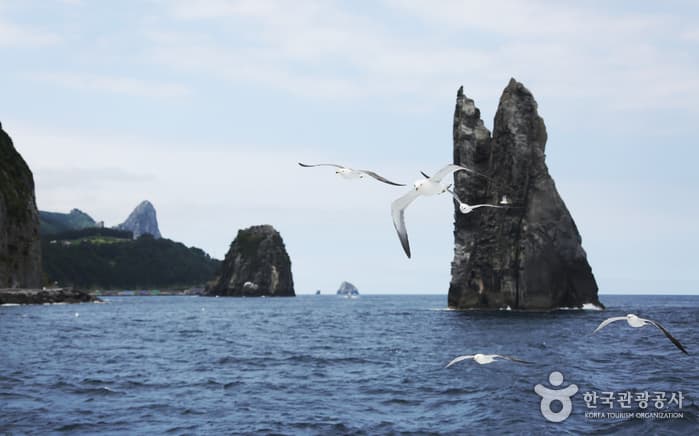 청사초롱_경북_울릉_울릉도, 그 섬을 기억하는 시간01