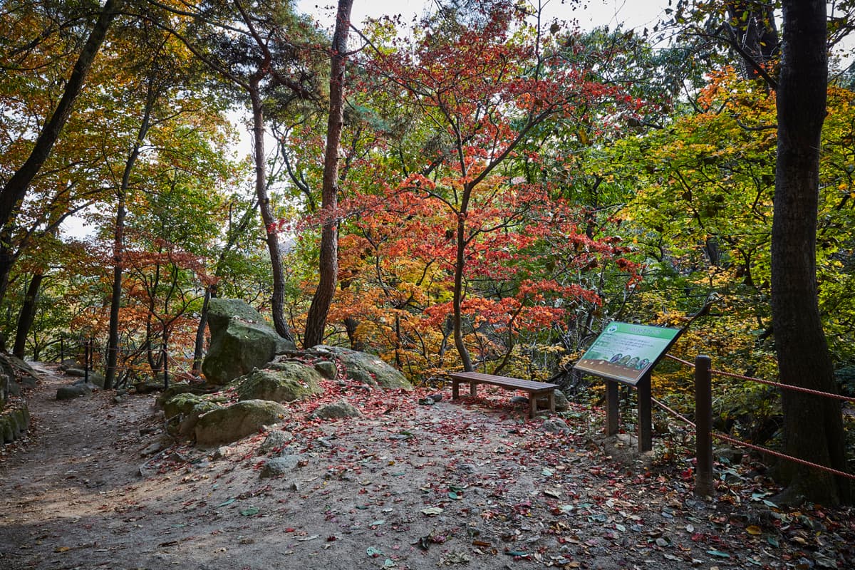 한국문화정보원_북산한국립공원(도봉) 23