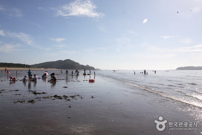 고사포해수욕장_17