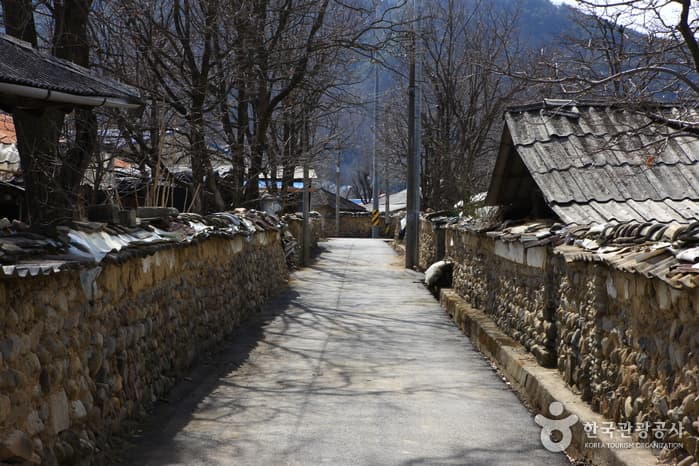 지전마을 돌담길_17