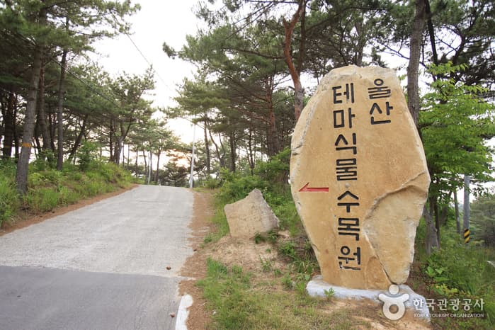 울산광역시_동구_울산테마식물수목원_048