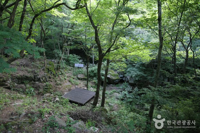지리산자연휴양림