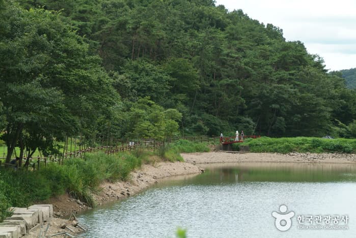 꽃무릇,산책로,공원_18