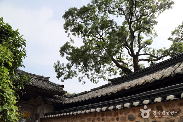 전남_해남_푸른 비에 마음이 젖어드는 곳02