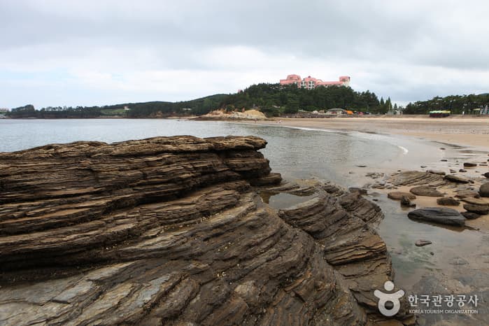 전북_부안_해수욕과 조개잡이를 한번에 (격포해수욕장04)