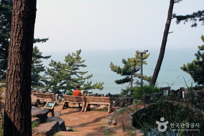 충남_보령_한옥의 보물섬 상화원에서 홀로 보낸 몇 시간15