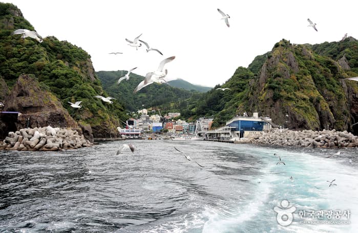 청사초롱_경북_울릉_울릉도, 그 섬을 기억하는 시간02