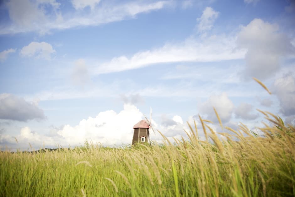 소래습지생태공원_3