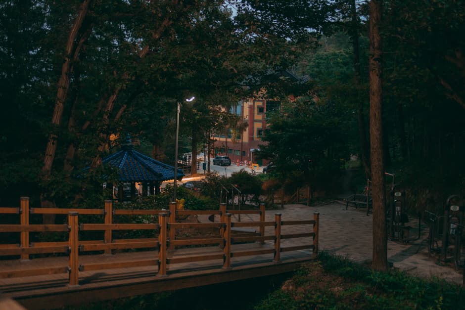 Bomunsan Forest Trail (보문산 행복 숲 둘레길)