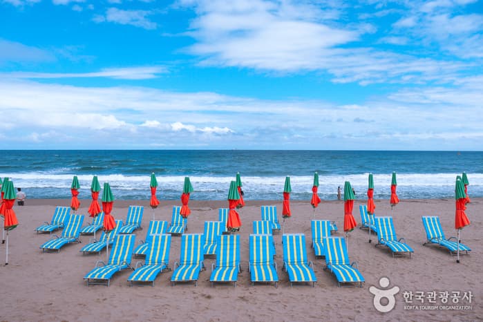 여기가 ‘버터’ 촬영지 맞나요? BTS 순례지로 다시 태어난 삼척 02