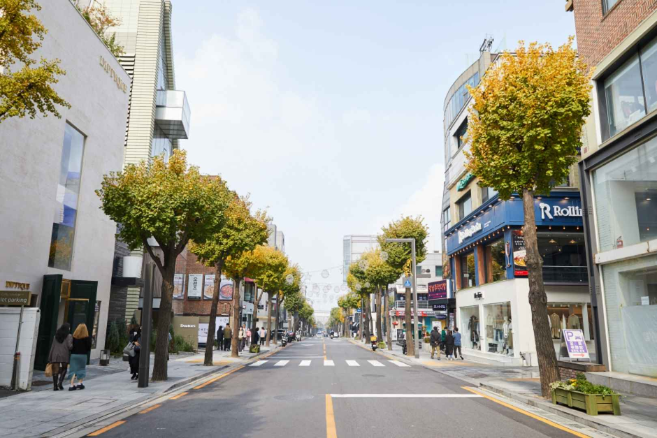 Sinsa-dong Garosu-gil Road (신사동 가로수길)