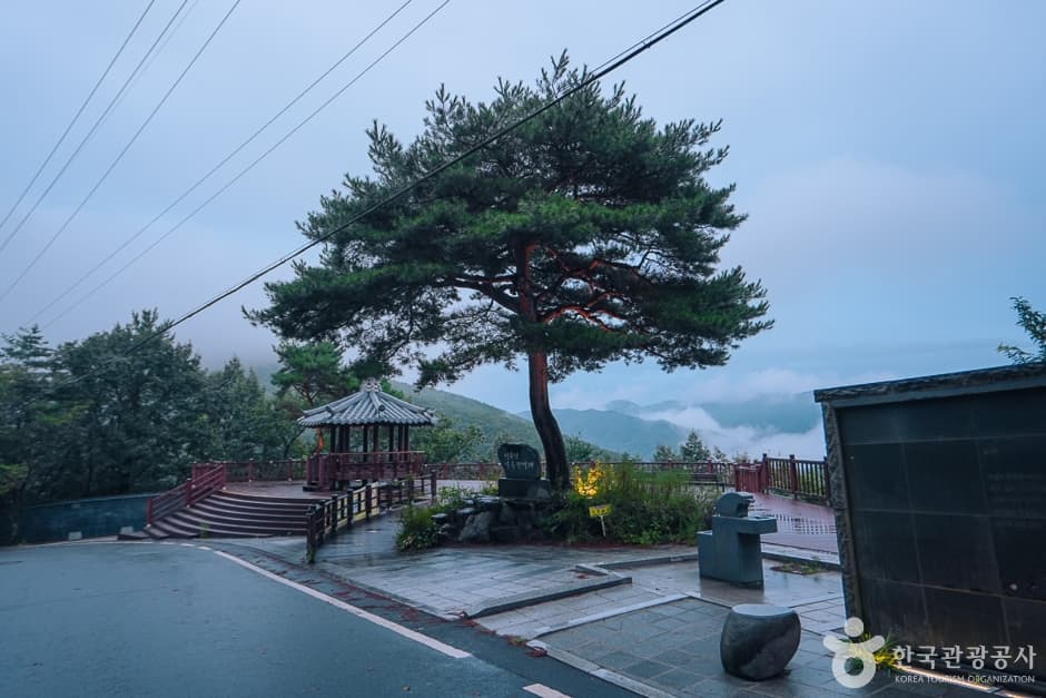 N02756_충남_보령_옥마산(2)