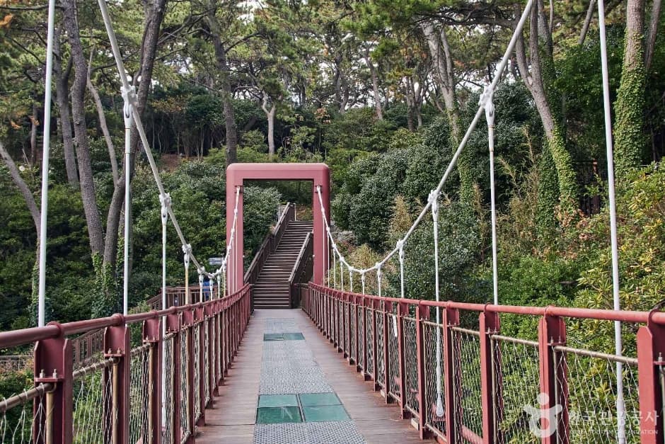 부산 해운대 동백섬 (3)