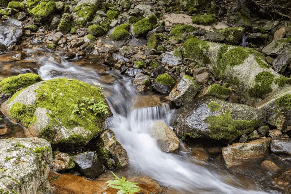 국립방태산자연휴양림 (4)