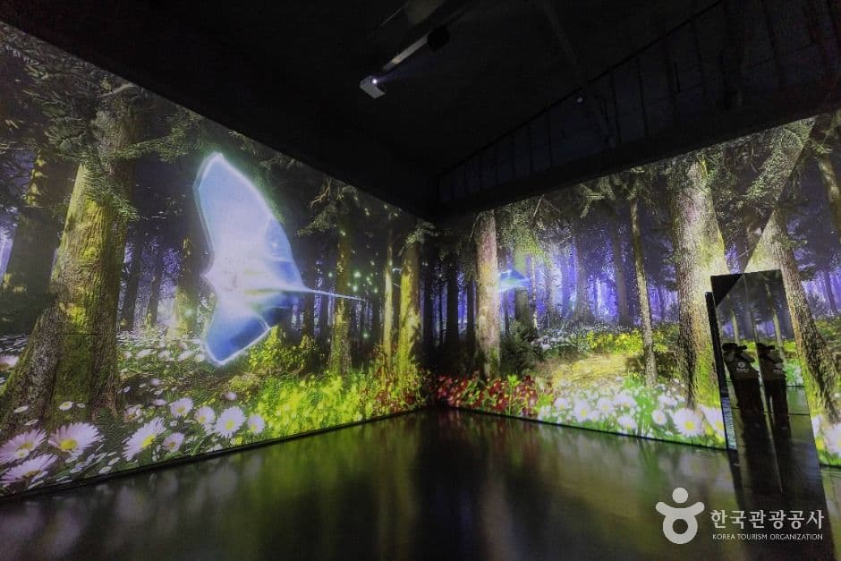 강화_아트팩토리 참기름 (2)