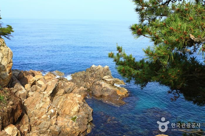 해양레일바이크50