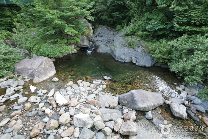 지리산자연휴양림