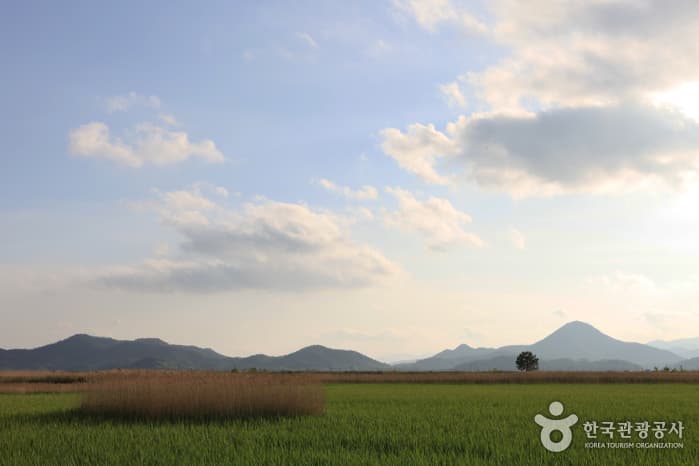 130510전남_순천_순천만자연생태공원 12