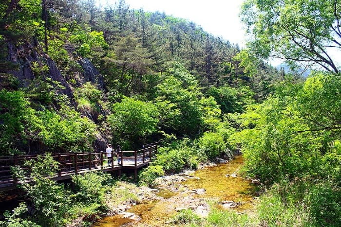 계룡산 수통골(3)