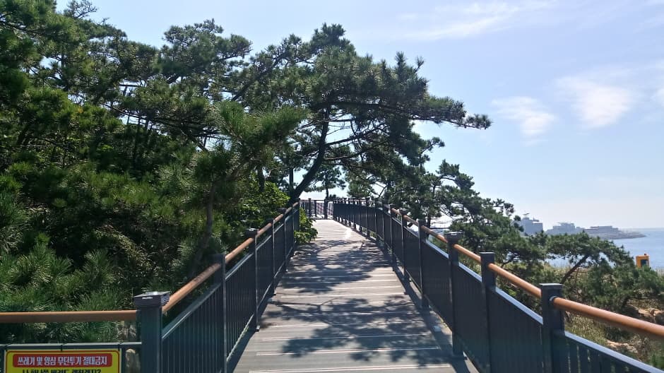 비응 마파지길 (2)