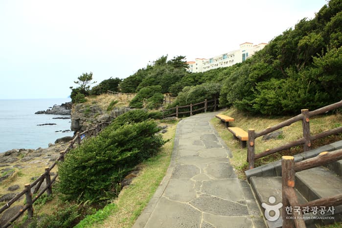 제주올레 5코스 큰엉 산책로_5