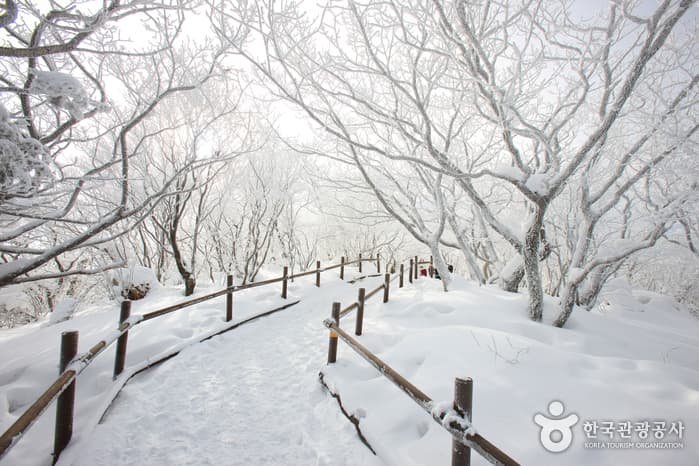 덕유산국립공원_034