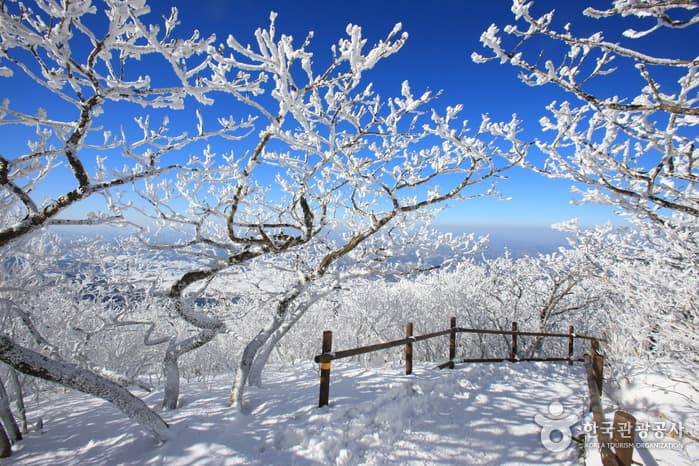 덕유산국립공원_234