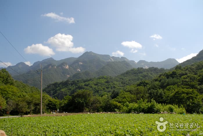 월악산