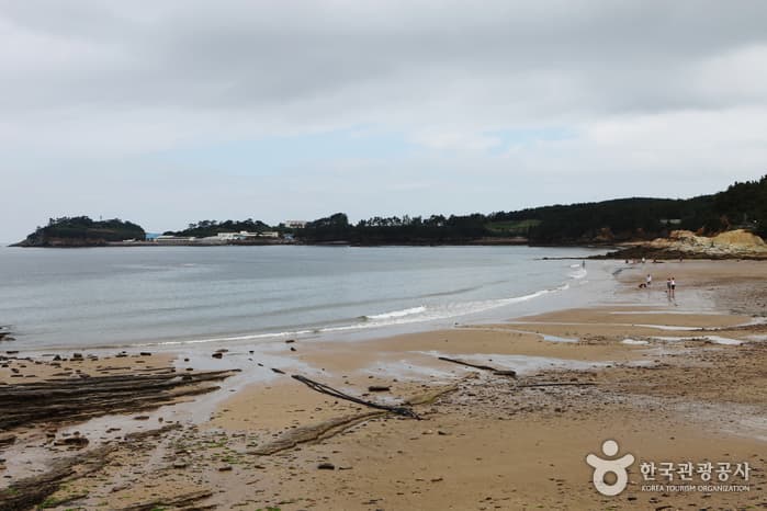 전북_부안_해수욕과 조개잡이를 한번에 (격포해수욕장06) 