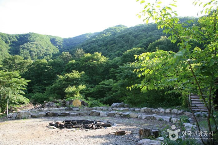 운장산 자연휴양림_04