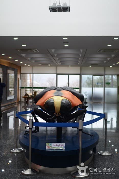 1601전북_무주_반디랜드49