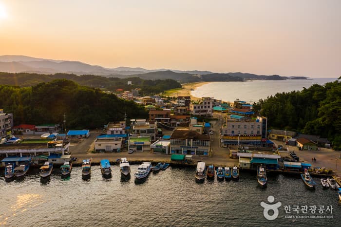 남애항