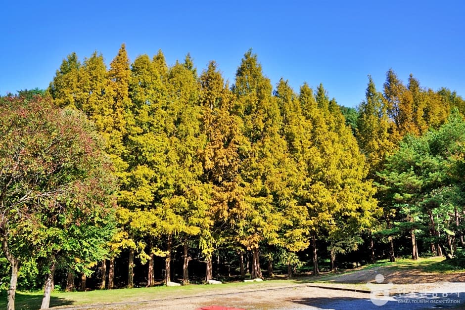 수옥정관광지 (3)